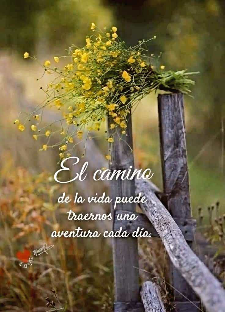 #BuenaSemana Ojalá..
Que así sean, estos 7 dias que tenemos por delante. Nùnca se sabe como serán. Puede empezar mal,y acabar bién.
(O viceversa.) En cualquier caso.. que todo vaya solventàndose,de la mejor manera posible. Hace falta.. Fuerza, calma, ànimo, 
y.. #Suerte 💚
