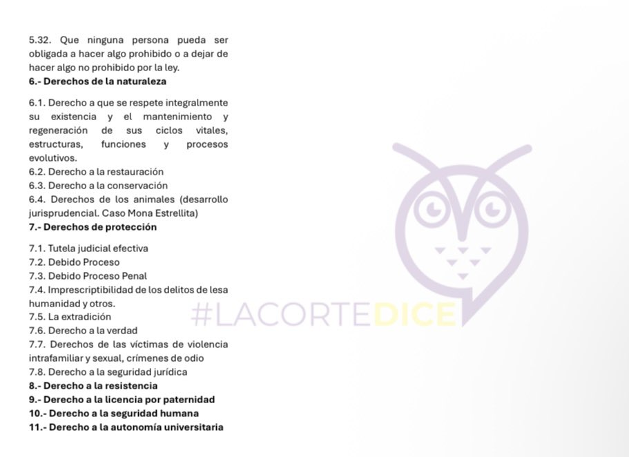 🔵 Estos son los derechos que reconoce actualmente la Constitución del Ecuador

¿Qué derechos se busca borrar o aumentar con la Constituyente?