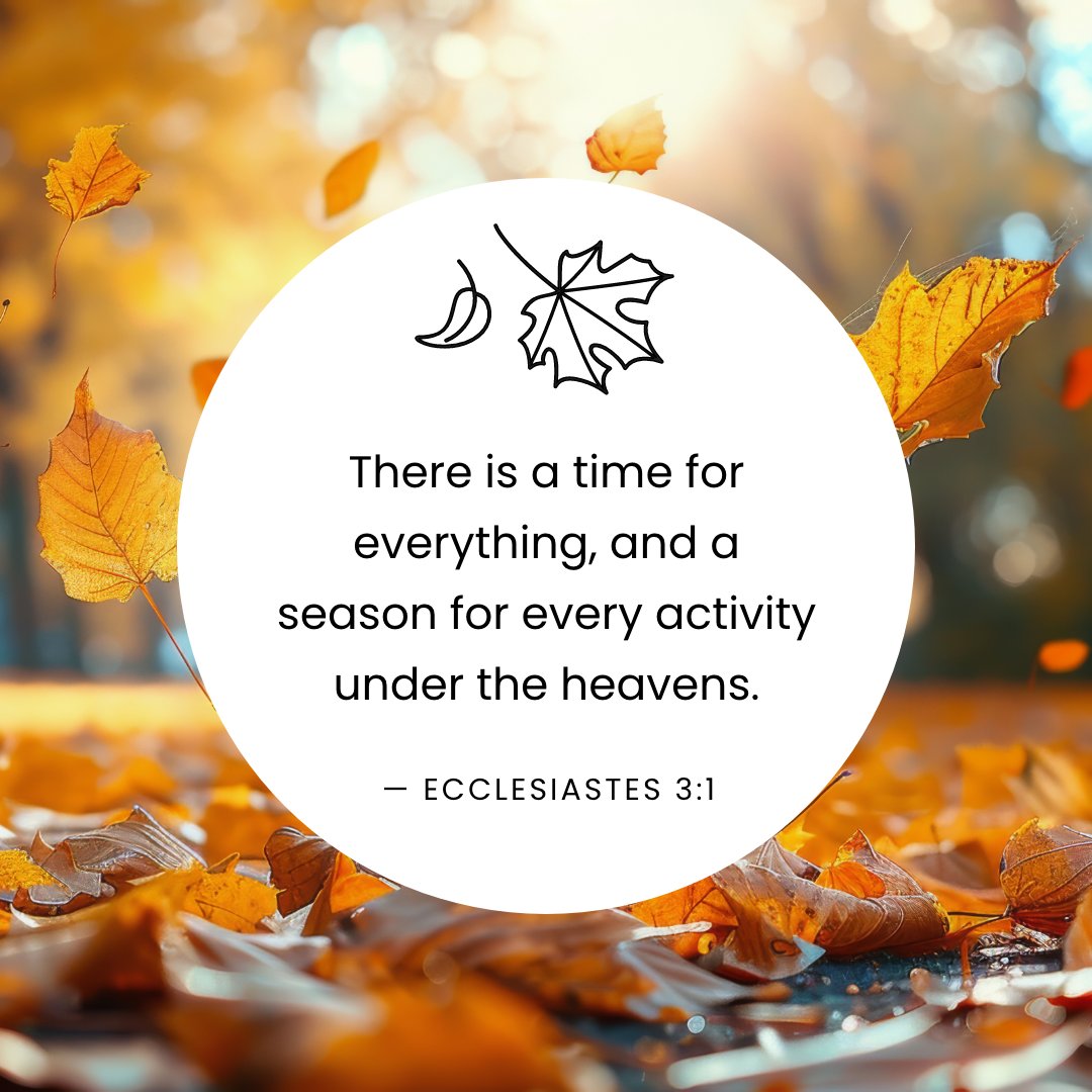 The crisp air, golden leaves, and cozy moments remind us of God’s faithfulness through every season. 

As we step into fall, may we carry gratitude for divine provision and trust in the harvest taking shape in our lives.