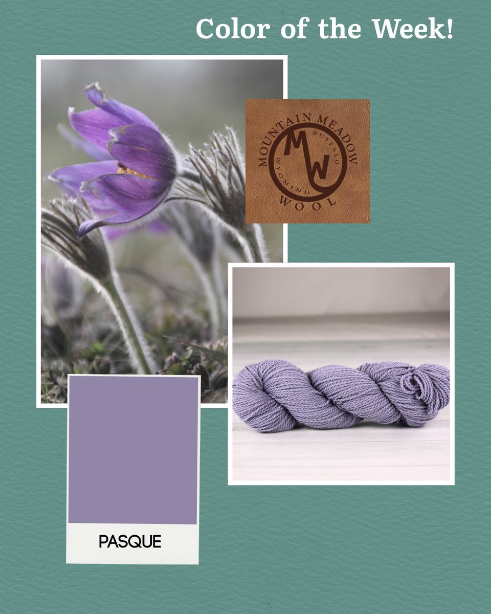 MtnMeadowWool's tweet image. Celebrate the soft beauty of Pasque—a muted purple inspired by spring wildflowers! 🌿 Perfect for layers or accessories. Available in Saratoga, Cody, Jackson, Laramie, Cora, and Sheridan yarns. 🧶🐑 #ColorOfTheWeek #MMW #YarnLove #YarnAddict #KnittersOfInstagram #CrochetCommunity