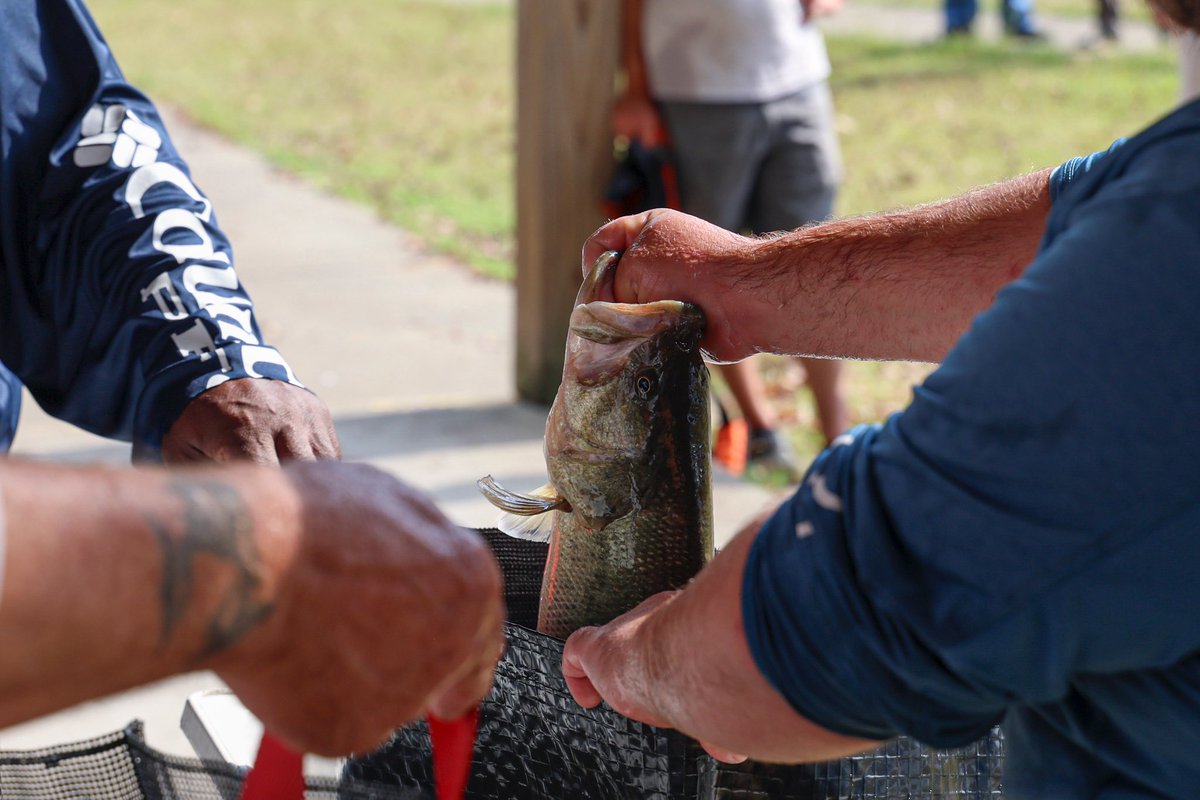 Bass fishing was the second of many events to occur this week. Happy Legion Week!