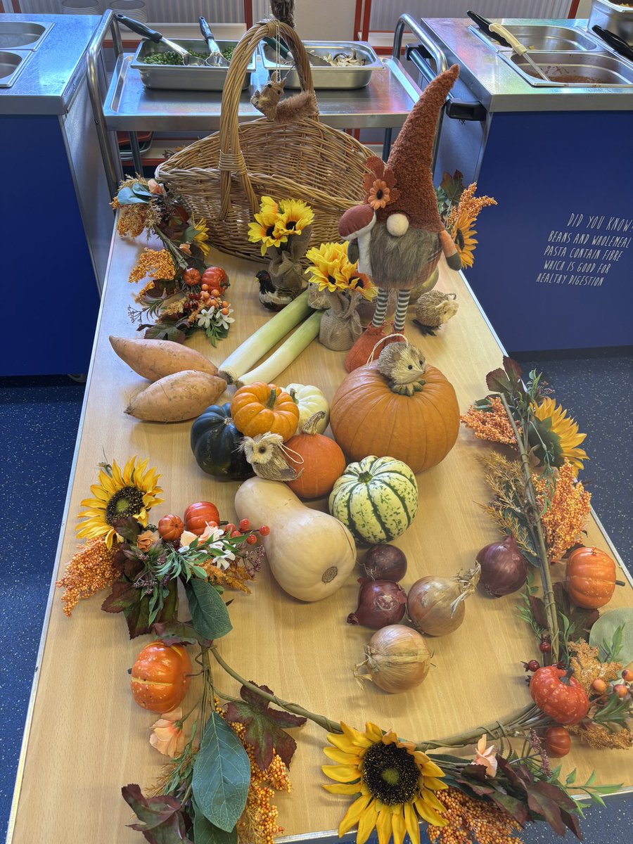 Howard Primary School tweet media