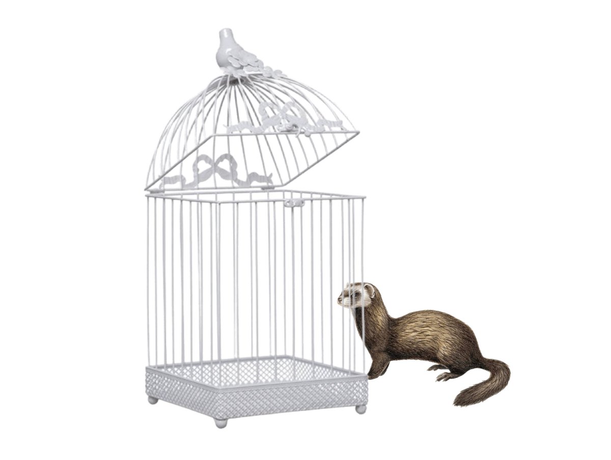 ProfsGeorgia's tweet image. ⠀

Setelah semua siswa mendapat giliran, Morgen tiba-tiba kembali muncul dan membagikan perkamen pada para siswa [bit.ly/42Iir2h].

Lalu membawa Jarvey ke dalam kandang. Masih terdengar gerutuan Jarvey, “Hopeless humans. Silly faces!” membuat beberapa siswa tertawa.

⠀