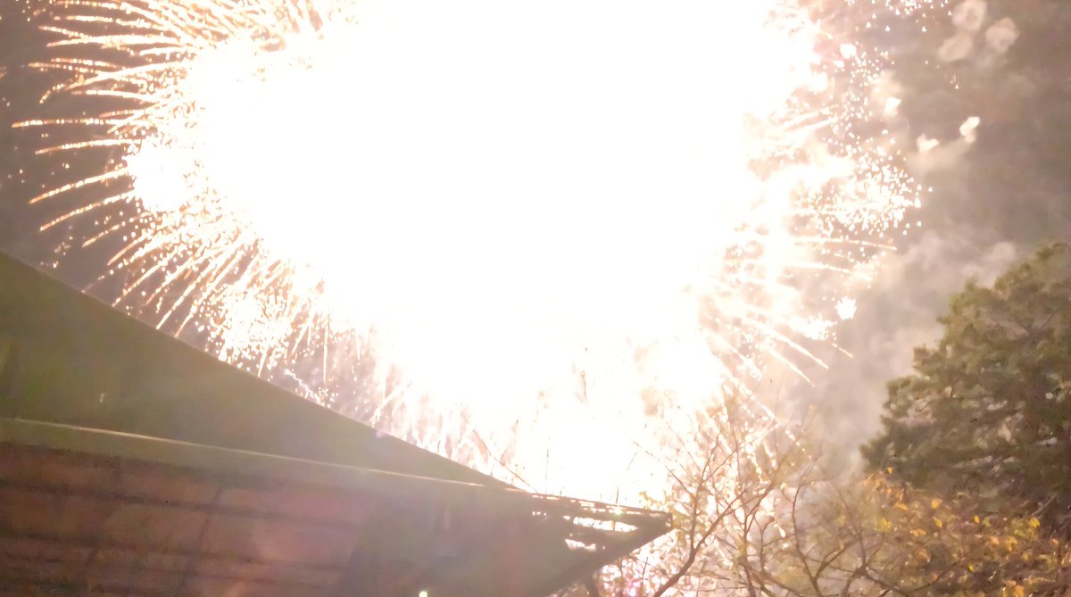 今日は近所の神社でお祭りがあり、花火が上がった。
ちょっと神社の花火なめてた。