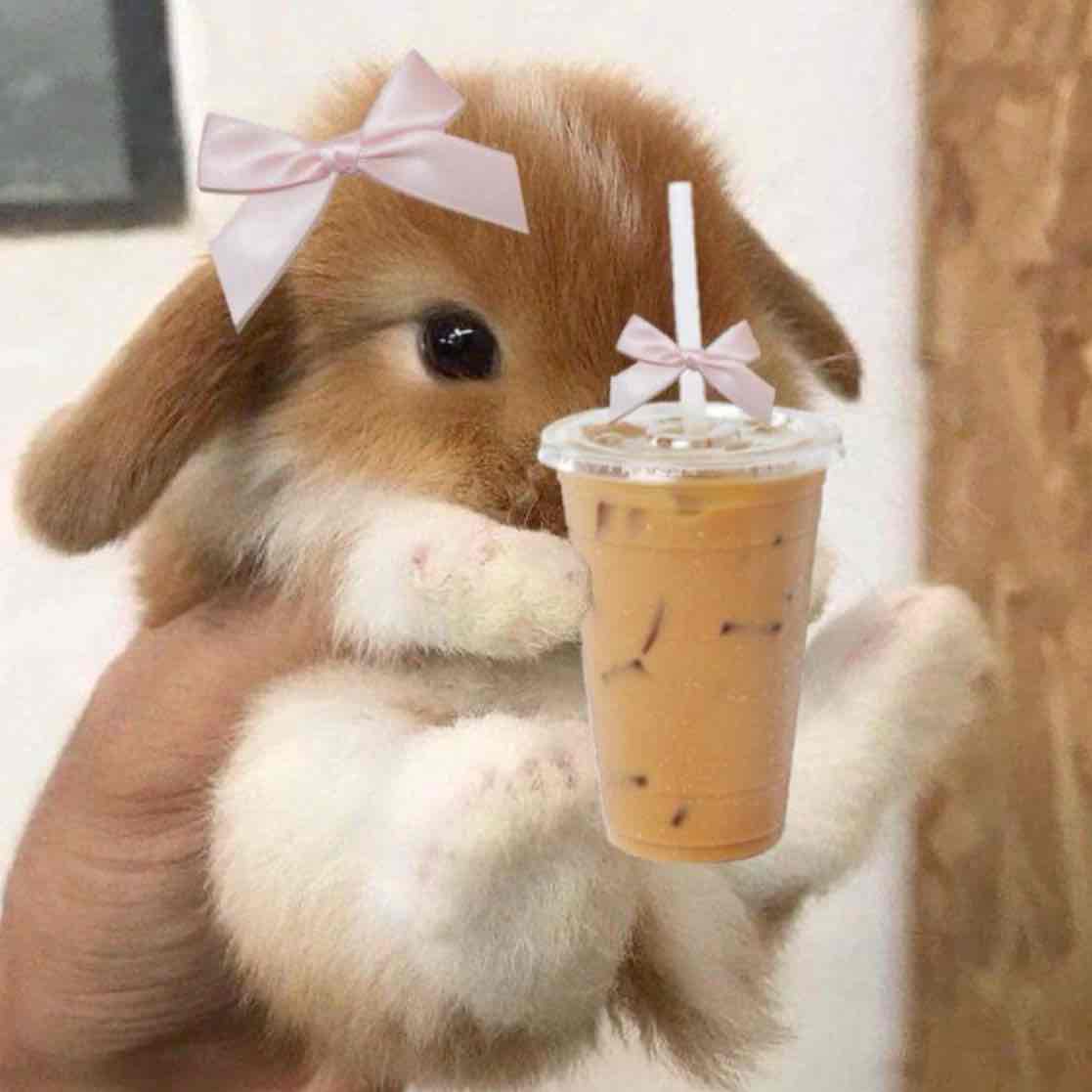 PrincessVvicr's tweet image. I just received Coffee from Anonymous via Throne. GIMME MORE!!! throne.com/goddessvictori… #Wishlist #Throne