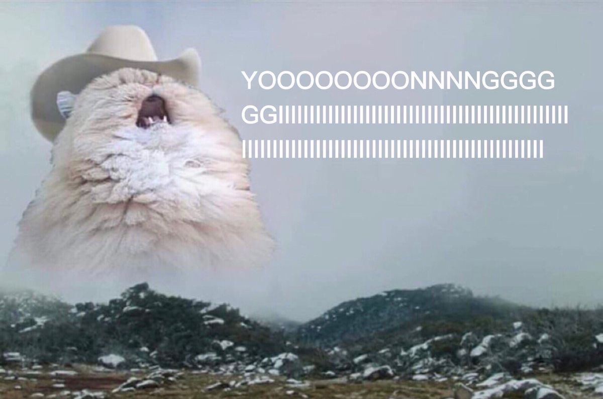 kida (@gukkiesvante) on Twitter photo 