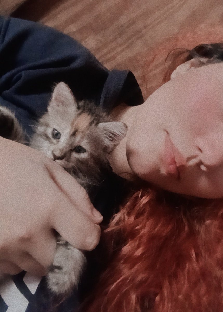 Les vengo a presentar a mi pequeña diablita más conocida como Mila 🖤✨ recién va a cumplir un día conmigo y ya me va a sacar canas verdes 🫡🫡