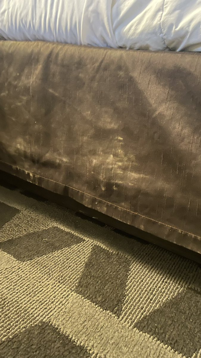 Chelsea B tweet media