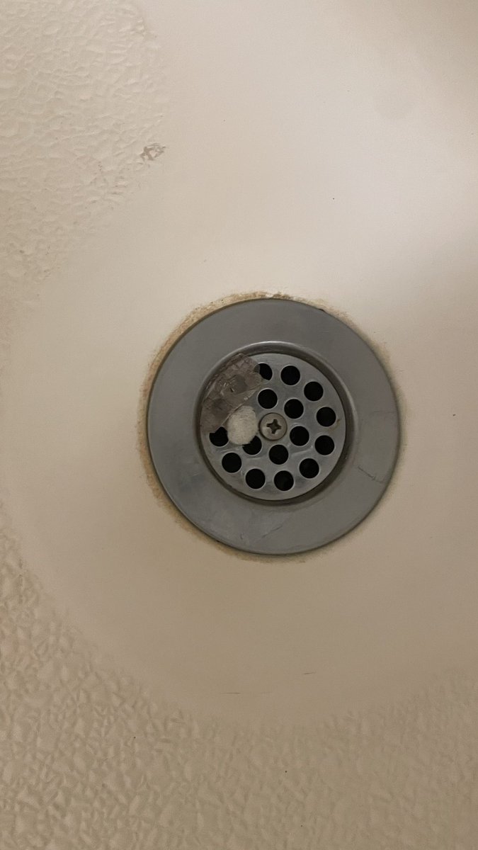 Chelsea B tweet media