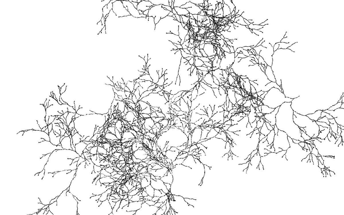 Lab212 (@lab212) on Twitter photo → Upcoming exhibition
In November, we will unveiled a new installation called Growing at the <a href="/kunstsilo/">Kunstsilo</a> museum, for the <a href="/lumenprize/">The Lumen Prize</a> Ceremony!
—
How do we live with the contradiction between progress and sustainability, between technology and ecology? 
—
Image: Growing, 2025 → Upcoming exhibition
In November, we will unveiled a new installation called Growing at the <a href="/kunstsilo/">Kunstsilo</a> museum, for the <a href="/lumenprize/">The Lumen Prize</a> Ceremony!
—
How do we live with the contradiction between progress and sustainability, between technology and ecology? 
—
Image: Growing, 2025