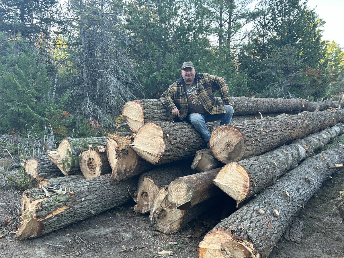It wasn’t a full load by any means but the pine logs I took out last fall and sawed at a local mill on Manitoulin is finally all home