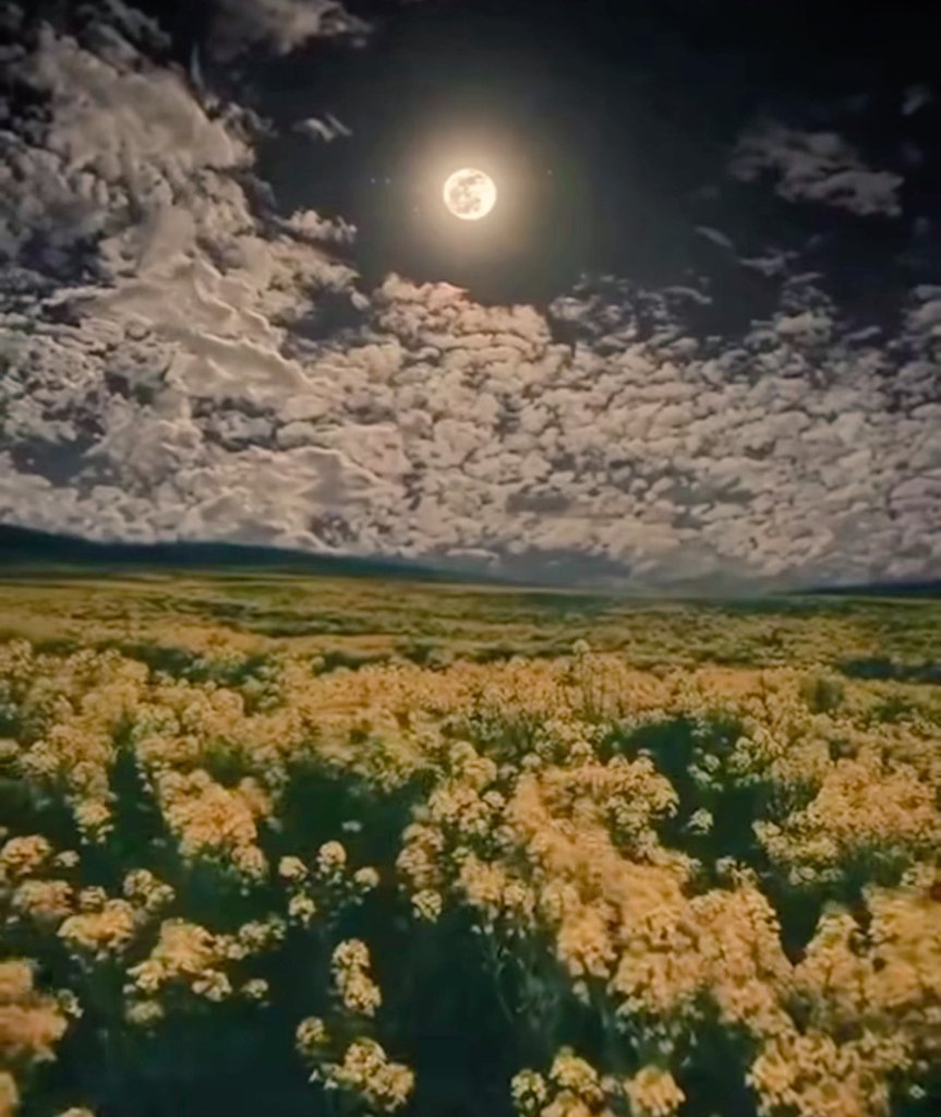 💖🕊

مساءٌ يتنفسُ عطرَ الروحِ، يرتدي ثوبَ السكونِ مزينًا بنبضاتِ القلبِ، يُهمسُ للحياةِ بألحانِ الشغفِ، يزرعُ ورودَ الحنينِ في مفارقِ الأيامِ، وينتظرُ قطافَ الفرحِ بترقبٍ، كي تلامسَ نشوتهُ أطرافَ السعادةِ، ويظلُّ قلبهُ واحةً تفيضُ بالرقةِ والجمالِ 

💖🕊️.