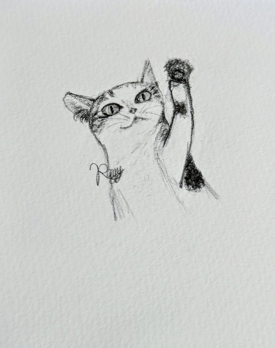 RagyCh's tweet photo. 描いている系統が（ほんとに少し）変わってきたので、自己紹介変えます!!
オレはレグーと言います。
最近はスーツばっか描いてます。基本人の顔は描けません。
まぁ、変わったと言ってもそれくらいかなぁ。
あぁ!!もちろんRTしてる絵の方も描きますよ。
#絵師さんと繋がりたい #絵師さんフォロバ100 https://t.co/QzpMVajtXG