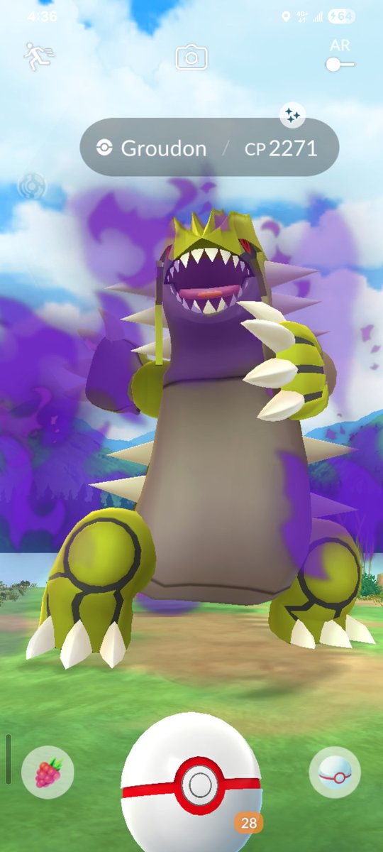 My highlight from 24 walking raids yesterday.