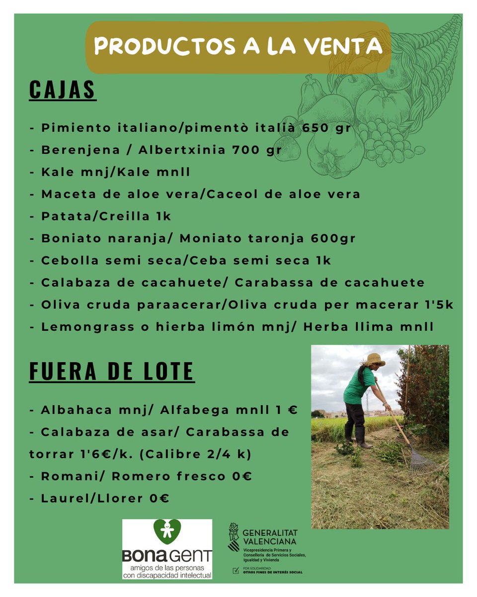 BonaGentAPDI's tweet photo. https://t.co/zNBxeCV0rH
