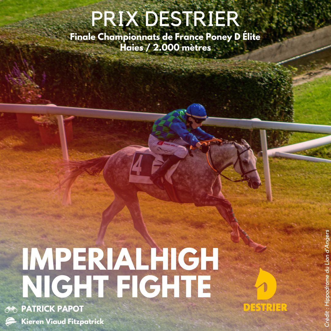 Hippodrome du Lion d’Angers tweet media