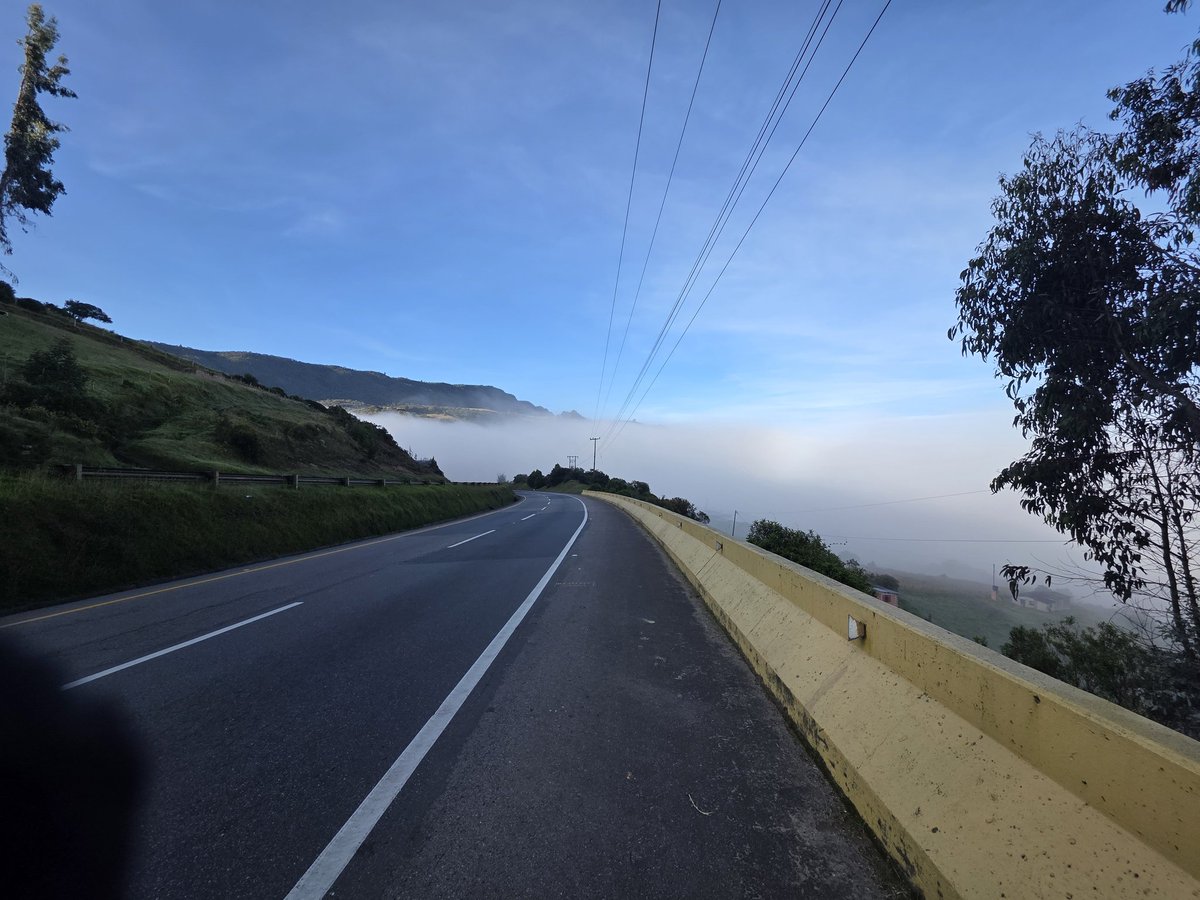 Yeisson Avila tweet media