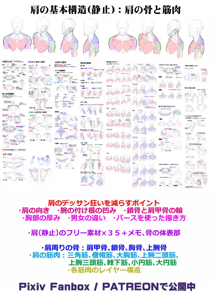個人メモ：胸と肩周りの構造

肩の基本構造(静止)
FANBOX
mangamaterials.fanbox.cc/posts/205158
Patreon
patreon.com/posts/jian-noy…

■EN
Structure of the shoulder basics
FANBOX
mangamaterialsen.fanbox.cc/posts/308037
Patreon
patreon.com/posts/structur…

■中文
肩膀的基本结构（固定式）
Patreon
patreon.com/posts/jian-ban…