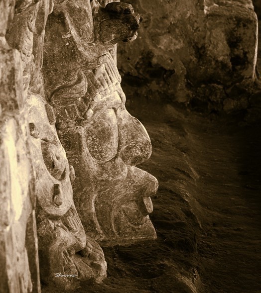 RocDrAdventures's tweet photo. Smile, you're on camera! What you build today may have an impact for hundreds of years. Make it great! Have a terrific Tuesday! #photo #photography #photooftheday #photographylovers #NaturePhotography #nature #blackandwhitephotography #TravelTuesday #RockinTuesday #Edzna #Mexico https://t.co/DUNqr5obXW