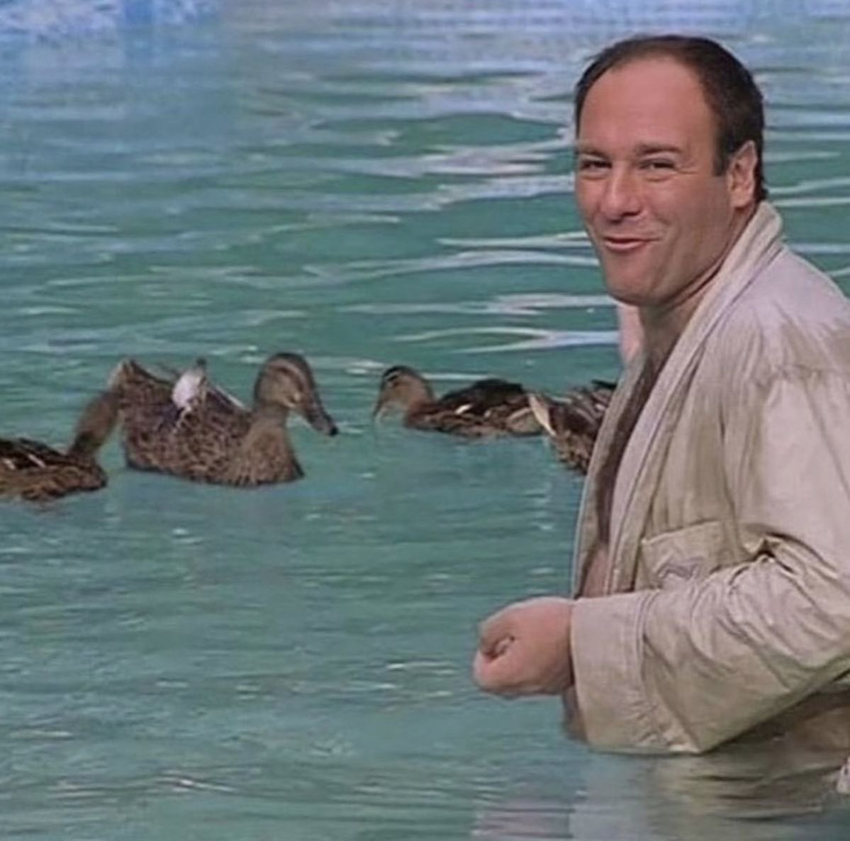 Cataluña Bostera tweet media