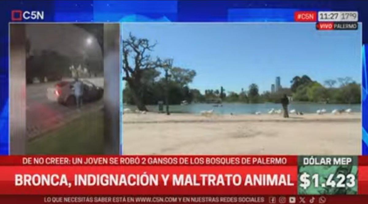 Quiero ver el fueguito en C5N

C5N: