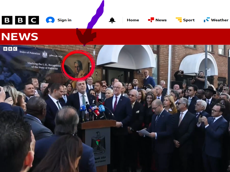 David Collier tweet media