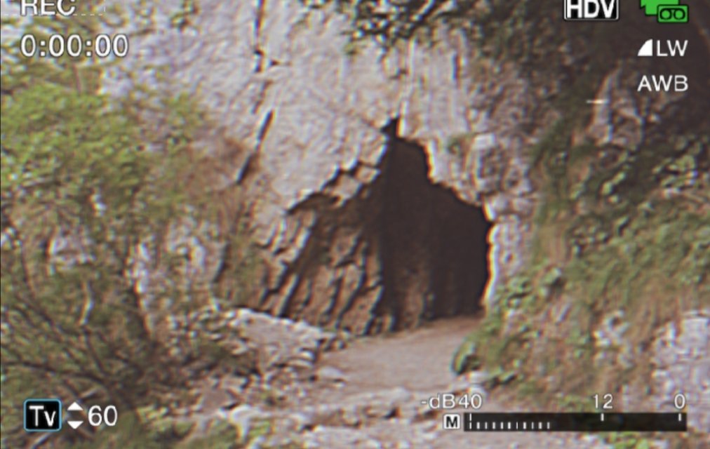 LoyaTanast（CRC fan OC） tweet media