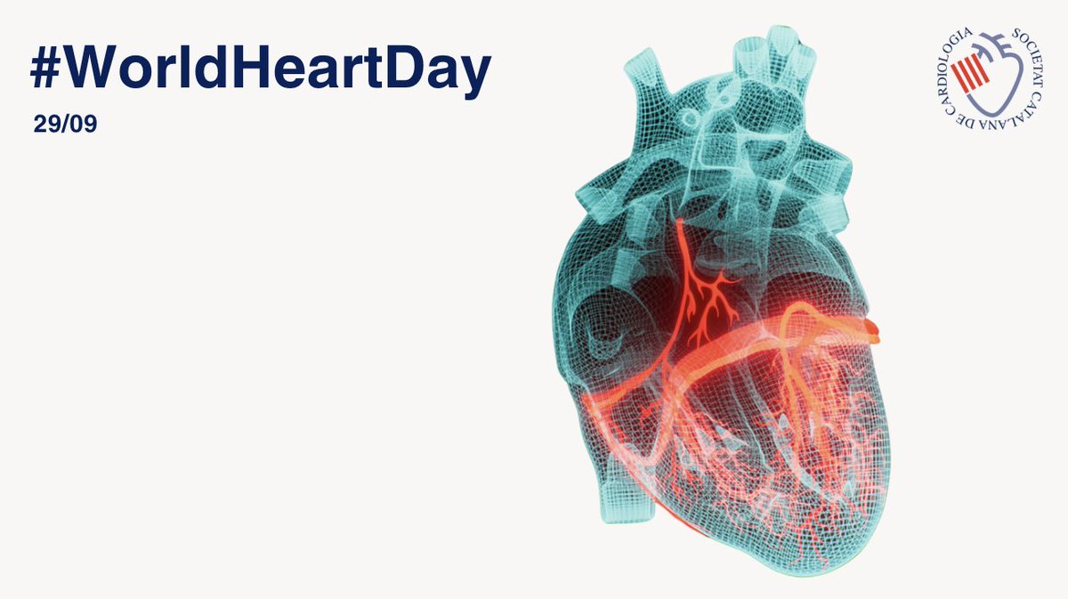 catcardio's tweet photo. 📊 Un de cada tres adults té hipertensió arterial i molts no ho saben. És un “enemic silenciós” que pot derivar en #infart o #ictus. 👉 Revisar la pressió arterial regularment és un gest senzill que pot salvar vides.
#WorldHeartDay #DiaMundialdelCor #SalutCardiovascular https://t.co/33nhscTkSD