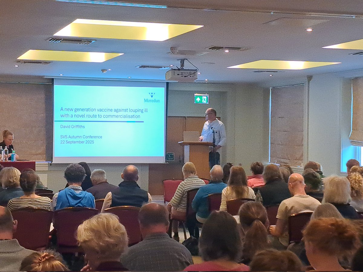 The Moredun Foundation (@moreduncomms) on Twitter photo We are delighted to be supporting the <a href="/SheepVetsoc/">Sheep Veterinary Soc</a> conference in Llandrindod Wells. David Griffiths talking about our louping ill vaccine campaign We are delighted to be supporting the <a href="/SheepVetsoc/">Sheep Veterinary Soc</a> conference in Llandrindod Wells. David Griffiths talking about our louping ill vaccine campaign