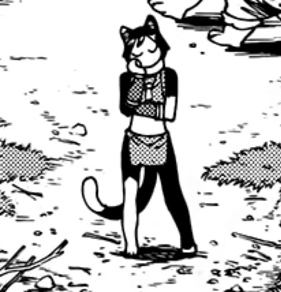 𝐇𝐚𝐯𝐞 𝐲𝐨𝐮 𝐬𝐞𝐞𝐧 𝐭𝐡𝐢𝐬 𝐂𝐚𝐭 ? tweet media