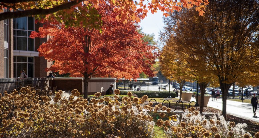 Happy first day of fall! Now if only the weather would get the memo... ☕🍁😅