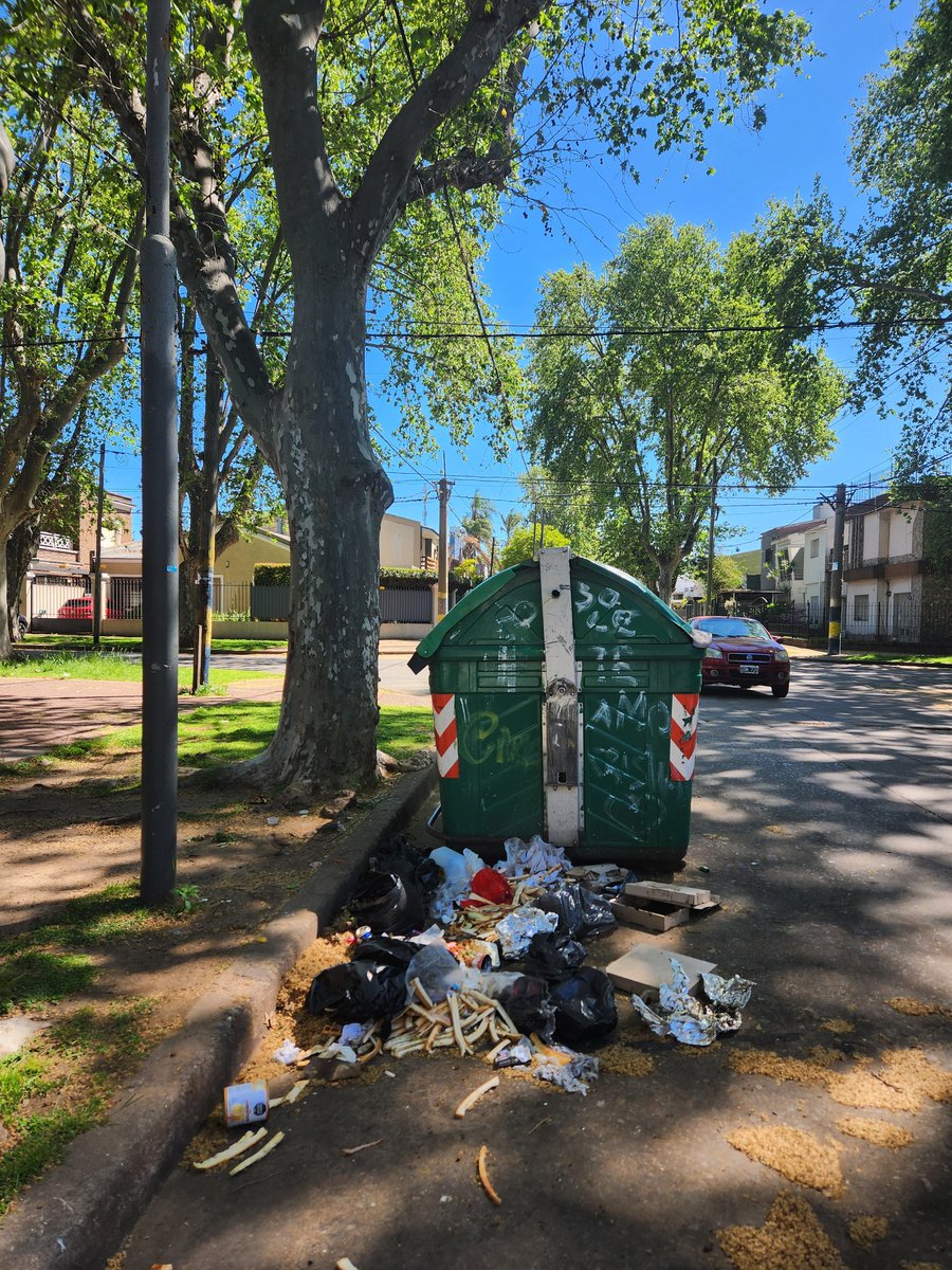 fla_via85's tweet photo. Agrelo y Washington, Alberdi. Otro lunes que no pasa el camión. Por favor!! La basura está desde el sábado @lmarelli0 @RosarioResponde @CMDNorte @pablojavkin @CaroLabayru https://t.co/j1UhZNnZ8o