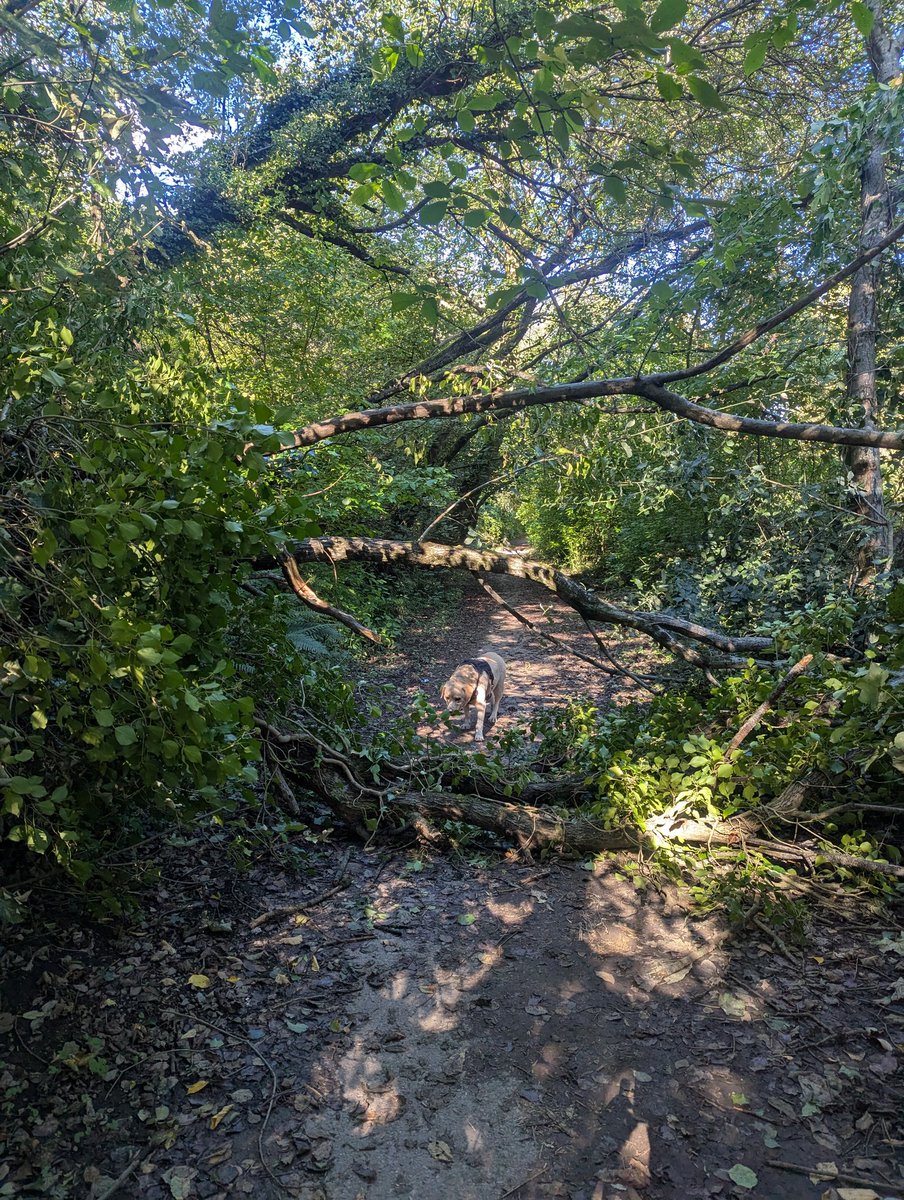 ComplexWales 🏴󠁧󠁢󠁷󠁬󠁳󠁿💙 tweet media