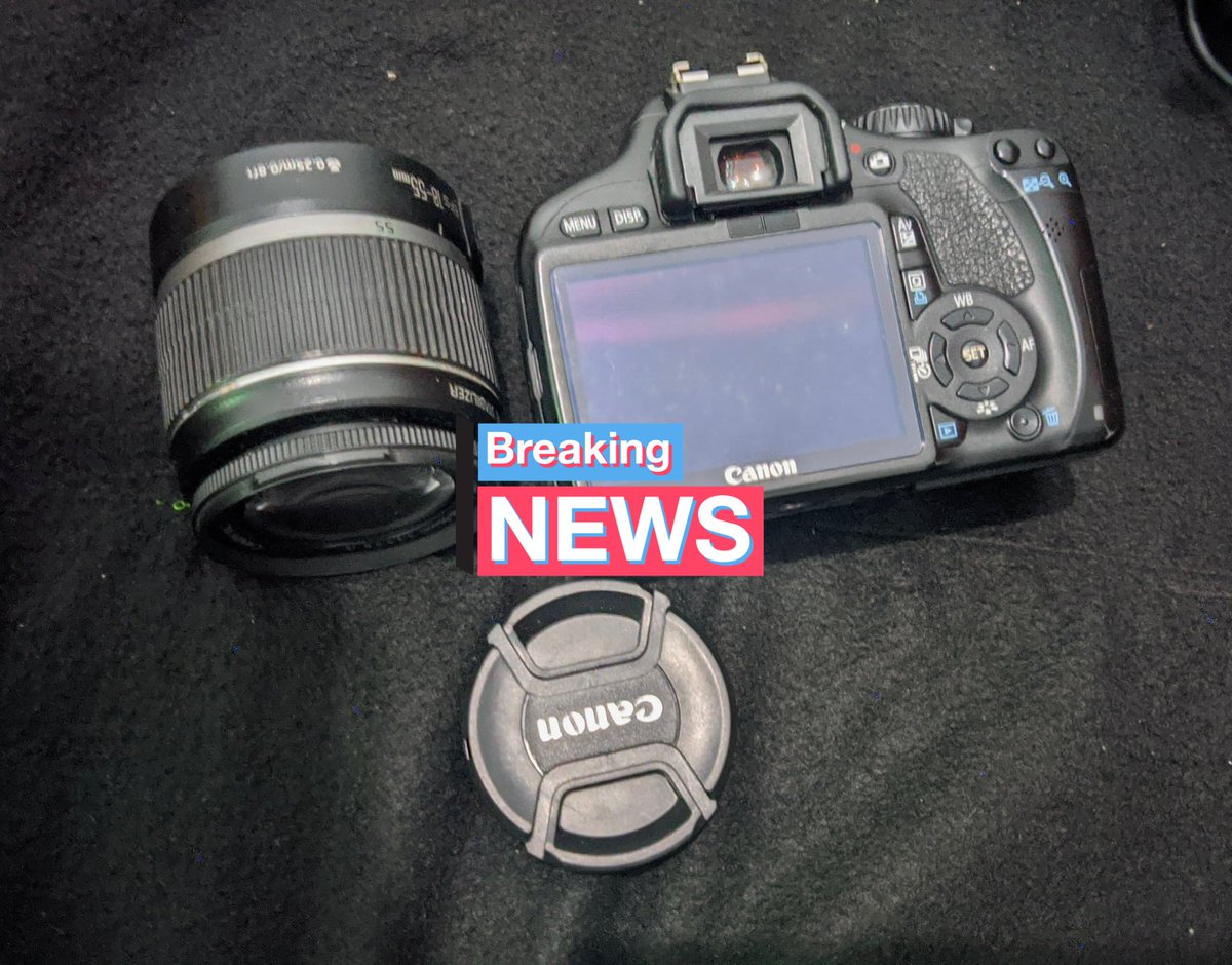 hippoeee tweet media