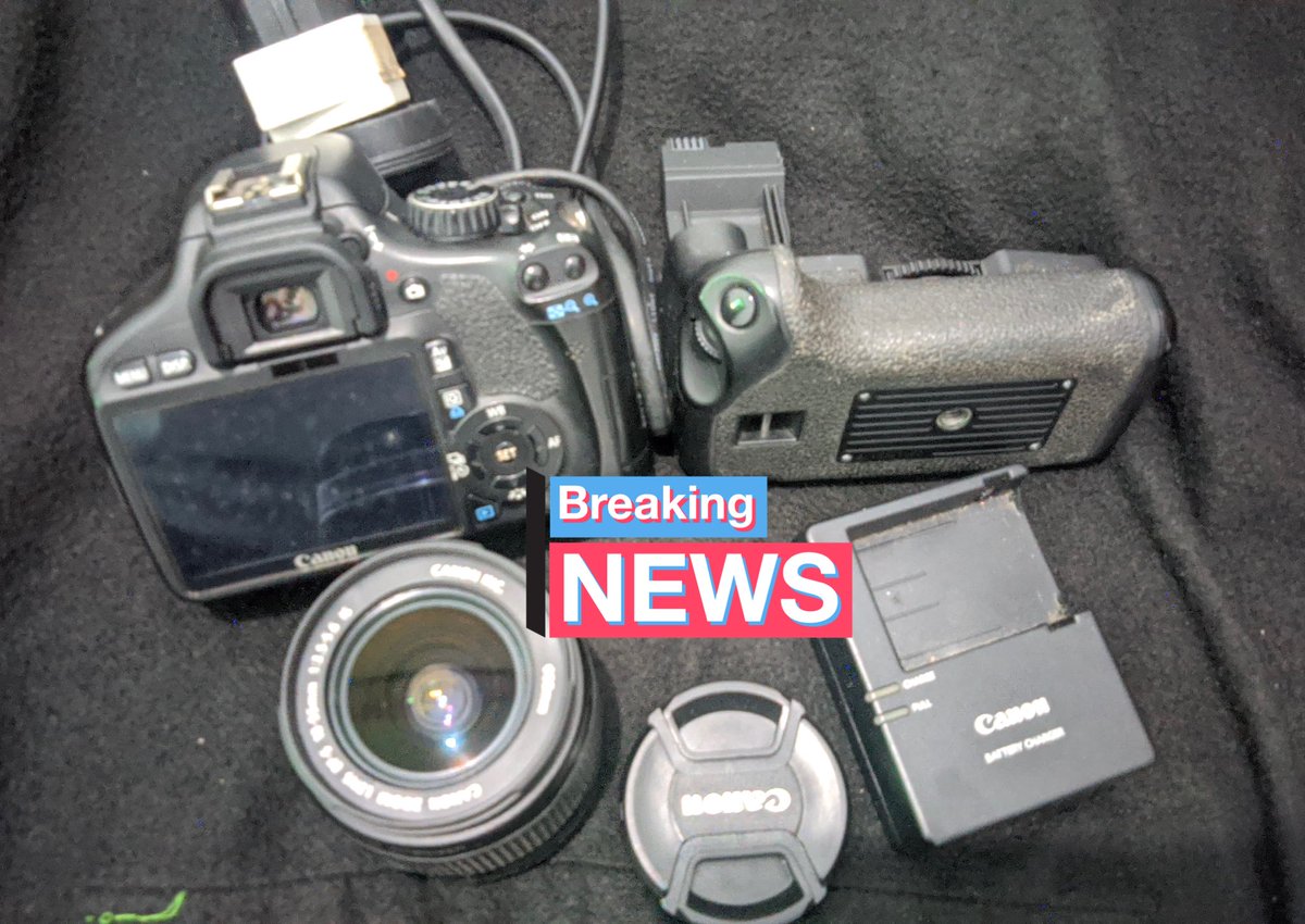 hippoeee tweet media