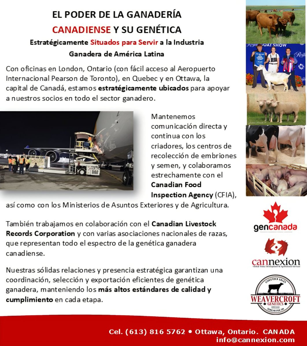 Criando Excelencia. 

Ahora más cerca de usted!