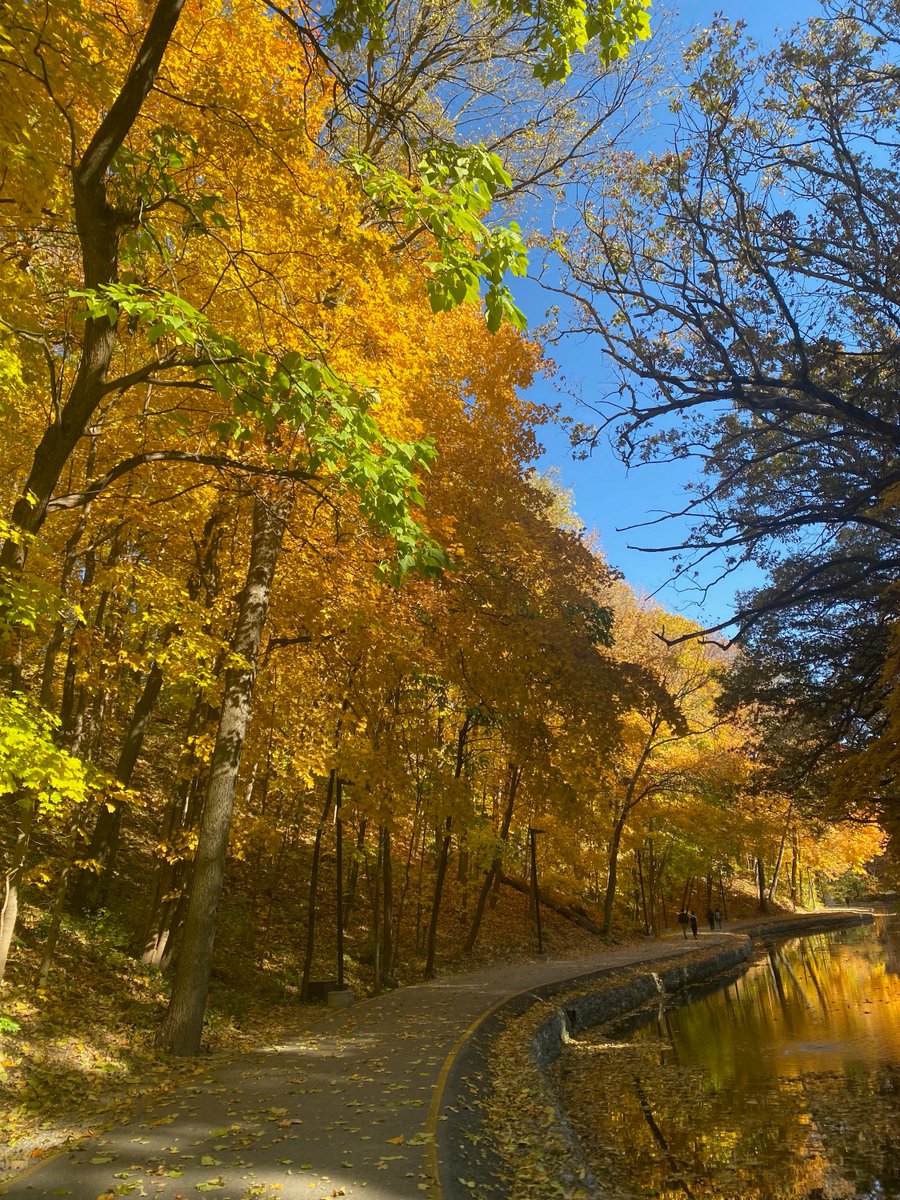 Happy first day of fall! 🍂

Looking for ways to enjoy the season? Check out our blog Fall Adventures in the Quad Cities for inspiration! visitquadcities.com/media-qc/insid…

#VisitQuadCities