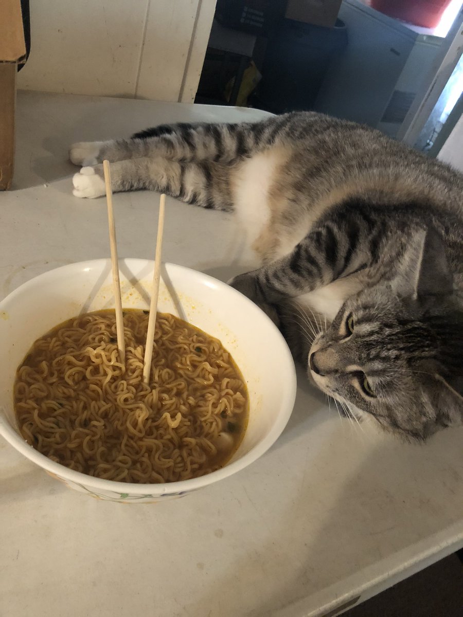 DarkSolidX's tweet photo. If you can use the chopsticks then “yes”, you can have some 😉 https://t.co/auCj2DUjts