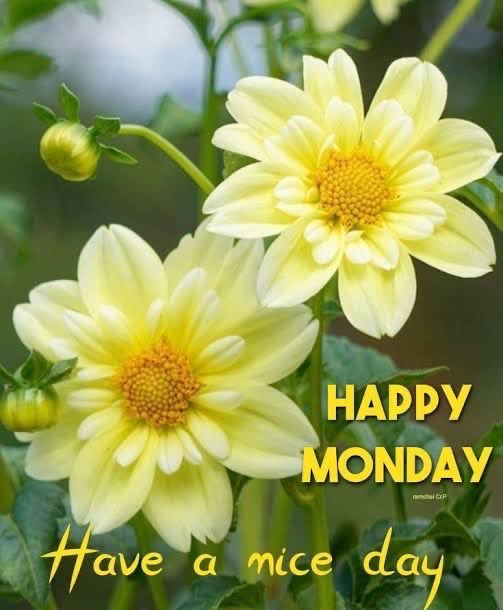 Good morning! Happy Monday! Enjoy! 💕🤗🤗💕