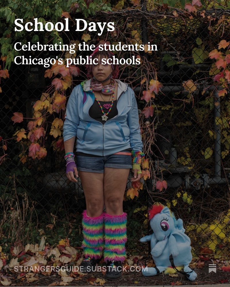 Stranger's Guide tweet media