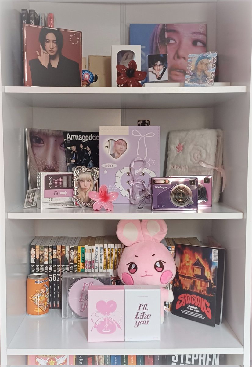 shwalust's tweet image. tentei arrumar minha estante no final de semana mas ainda tá uma bagunça porque tem bastante coisa e eu queria que tudo ficasse bem a mostra 😣😣