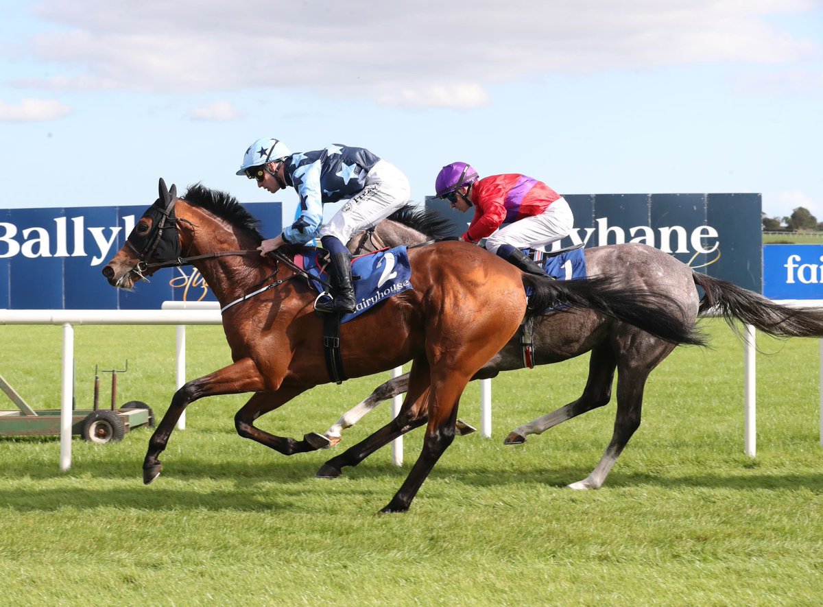 Fairyhouse's tweet image. Utmost Good Faith 🥇

Is our final winner on today’s card for @joeysheridan8 &amp;amp; @fozzystack! 

Well done to everyone involved 💫