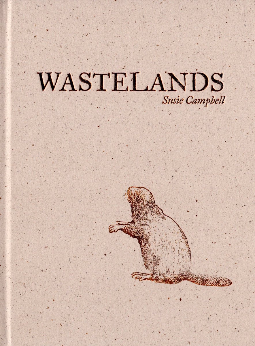 Susie Campbell tweet media