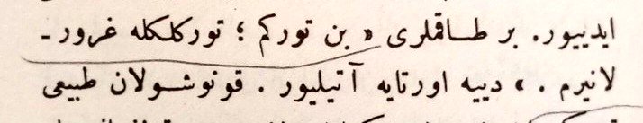 «Ben Türk’üm; Türklükle gururlanırım.»