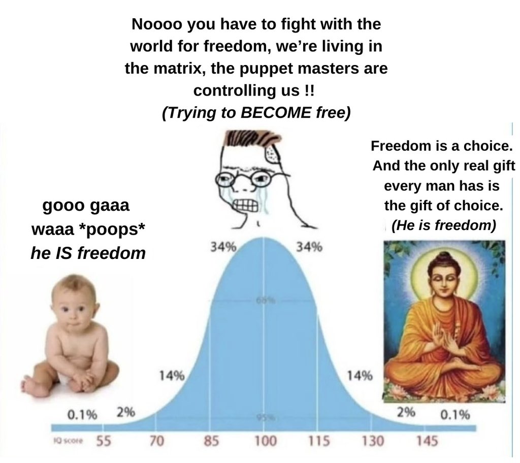 Bell curve never misses.