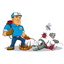 شركة مكافحة حشرات شرق الرياض