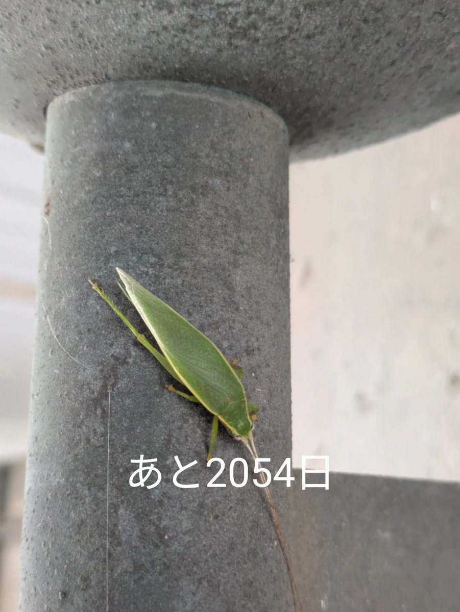 ミステリアスなXユーザーのプロフィール画像