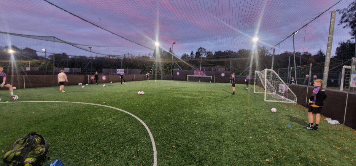 Evolution Goalkeeping Academy tweet media