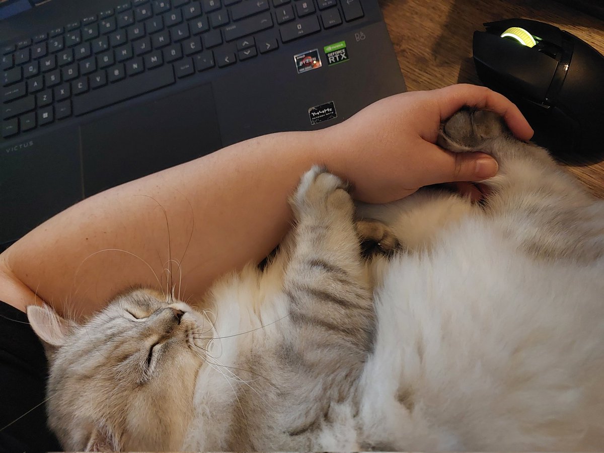 This review has been delayed due to technical… purring difficulties...