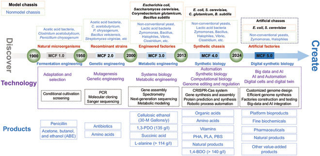 BioDesignR's tweet image. Microbial cell factories drive the bioeconomy with tailored biomanufacturing. Advances in genomics, AI, & automation accelerate sustainable bioproduct creation. #Bioeconomy #SyntheticBiology #MCFs
Details: doi.org/10.34133/bdr.0…